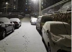 青島！大雪！大愛！